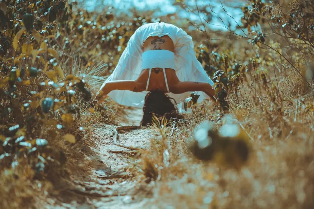 疗愈音乐300分钟,疗愈歌曲500首