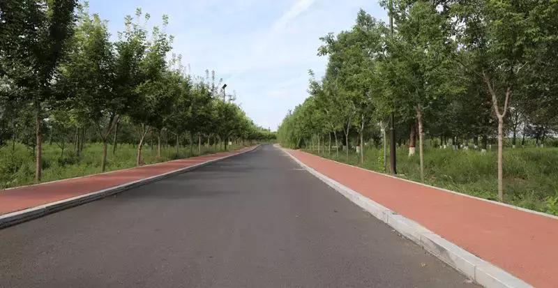 左中休闲好去处——达尔罕森林公园