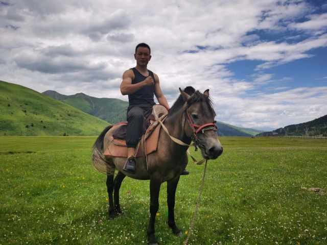 武林风铁英华刘亚宁完整视频,小虎铁英华回归武林风了吗