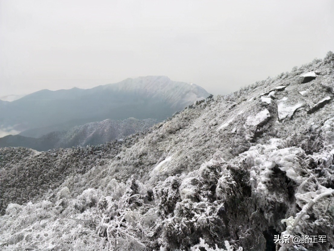 鍗楄僵灏忚鍏ㄩ泦鍏嶈垂闃呰,鍗楄僵浼犲鏁呬簨