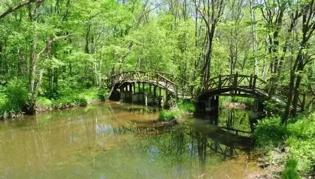 哈尔滨自驾三亚边走边玩最佳路线,哈尔滨到漠河自驾旅游攻略10天