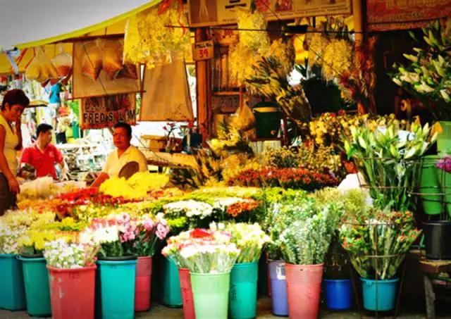 亚洲最大花市宛如仙境,中国最牛的花市