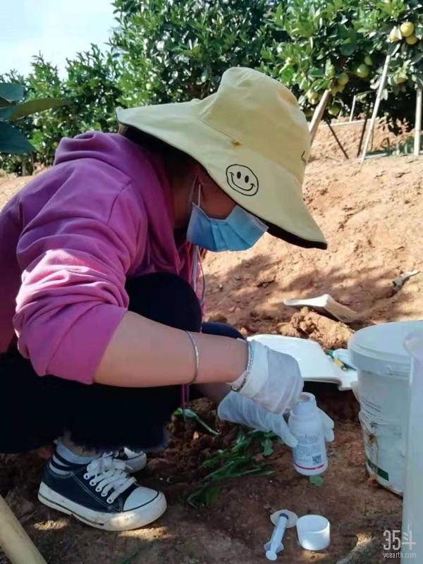 褚橙新农人,褚橙为什么是新农人