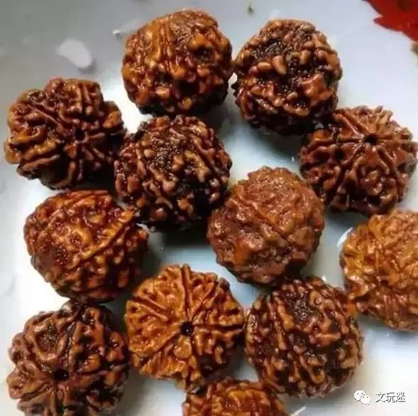 菩提手串长毛发霉有危害,菩提手串长虫子对我们有什么危害