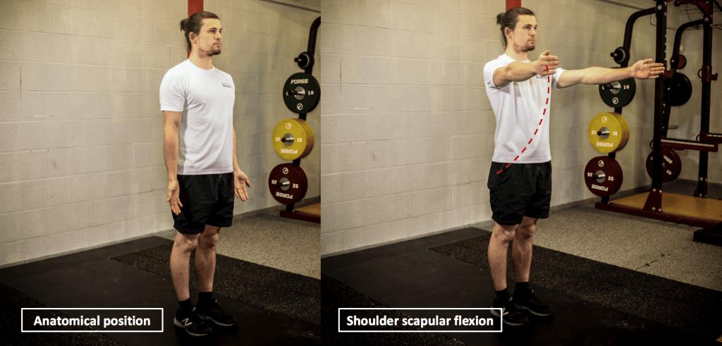 增肌训练指的是,增肌力量的基本知识