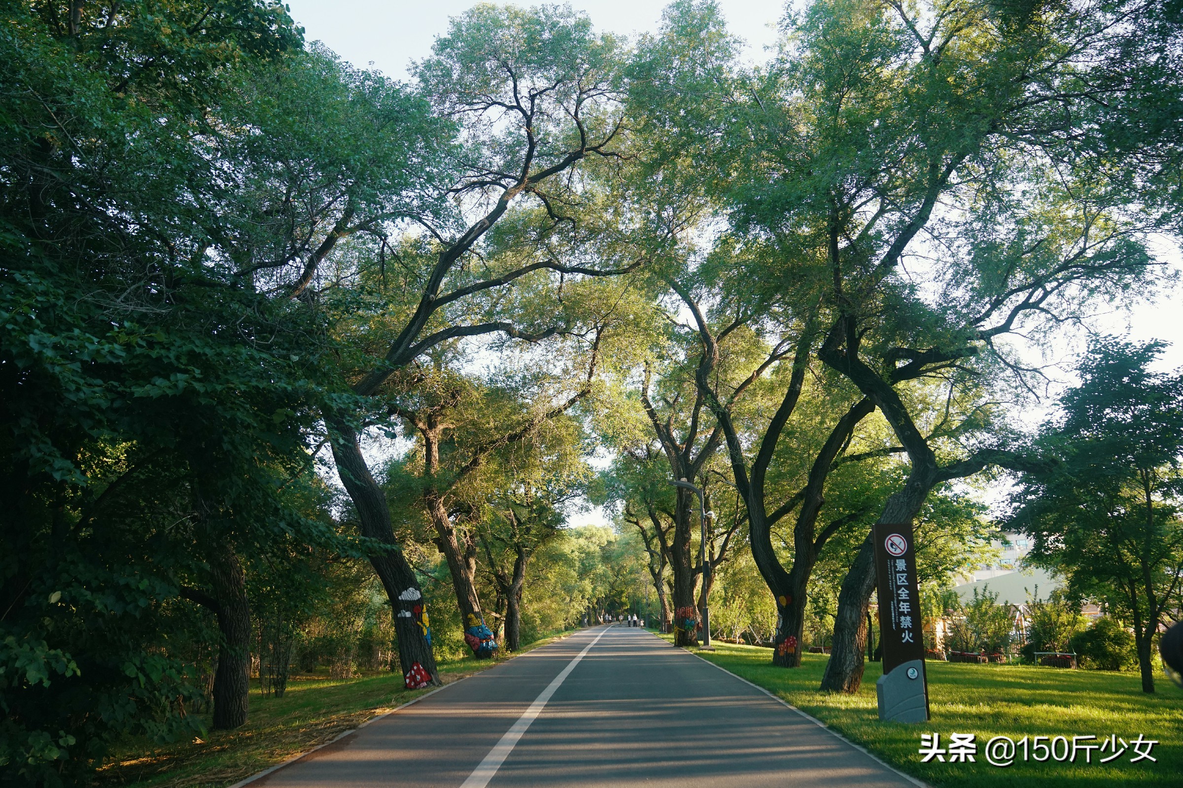 随心所欲玩转吉林！6天5晚人均1000自驾游，吉林现在也很美