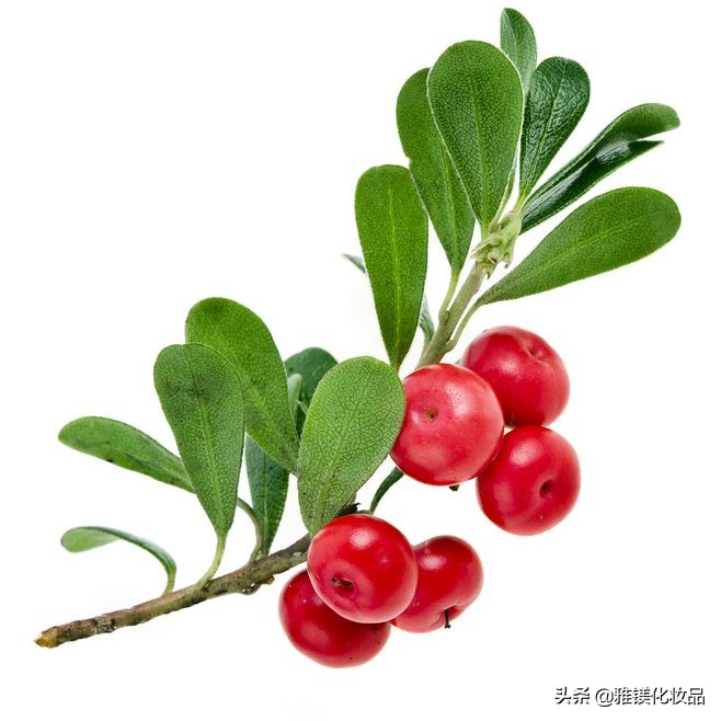 雅镁化妆品制造有限公司,雅镁化妆品工厂