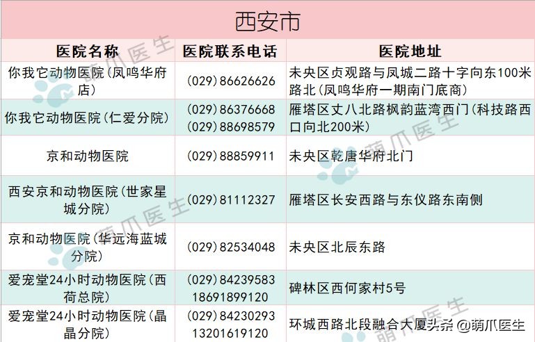 宠物医院必看,不坑的宠物医院推荐