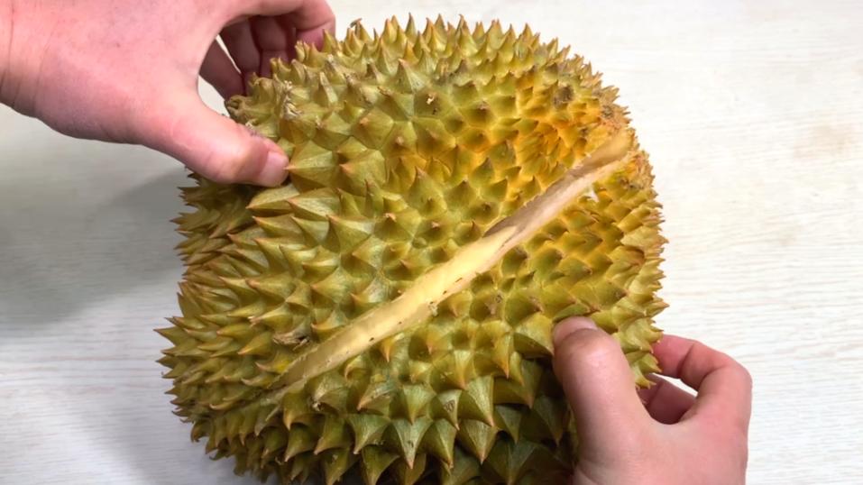 榴莲的正确开法榴莲为什么是脆的,榴莲裂开用什么绑住最好