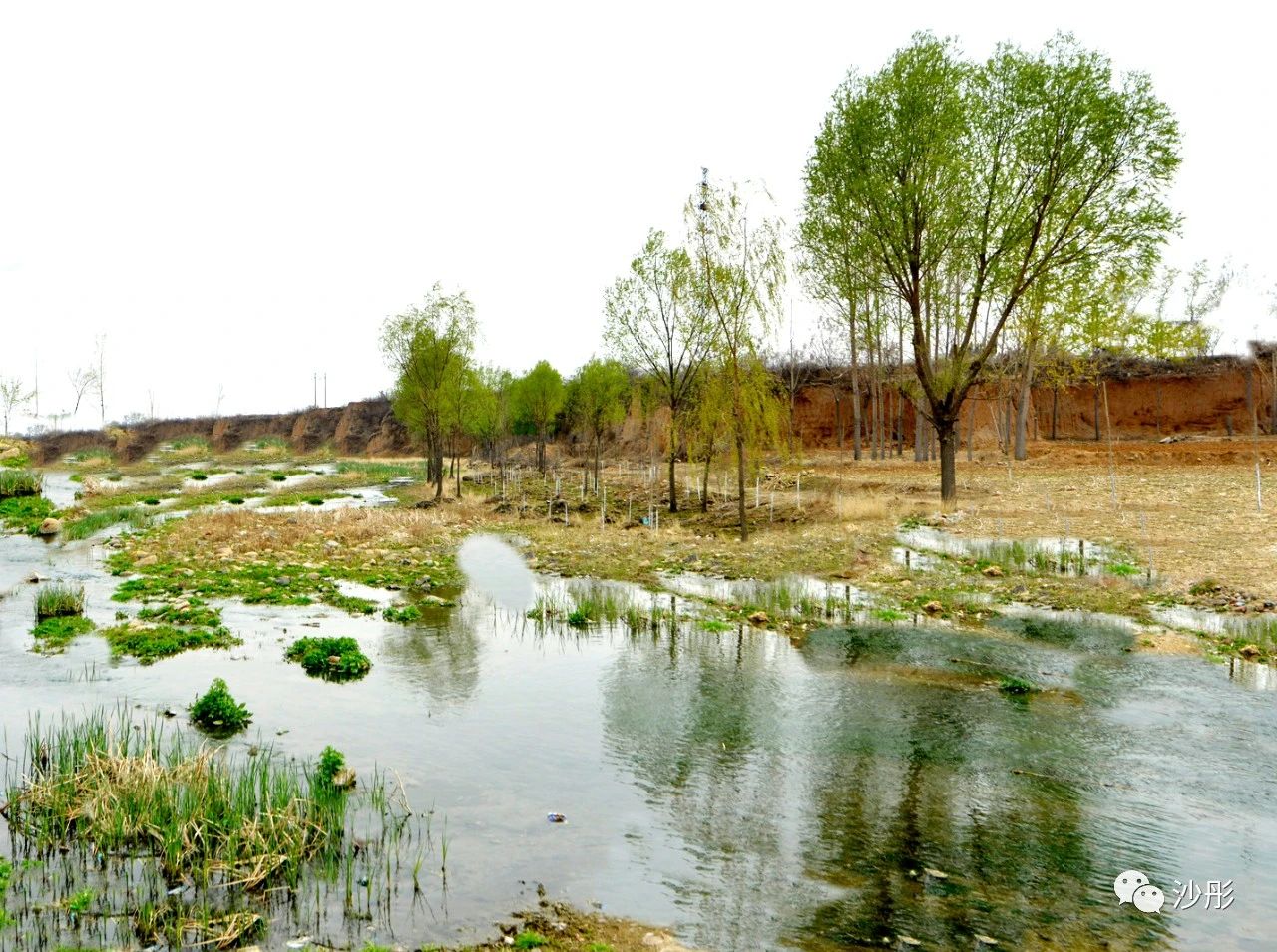 92版本穆桂英生下儿子,穆桂英生下儿子的哪集