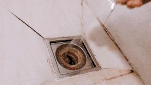 卫生间下水道堵塞最好的办法,卫生间下水道堵了小妙招解决