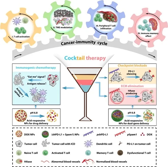 陈学思中科院,陈学思首席科学家