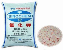 化学期末考试真题讲解,化学酸碱盐知识点笔记免费版