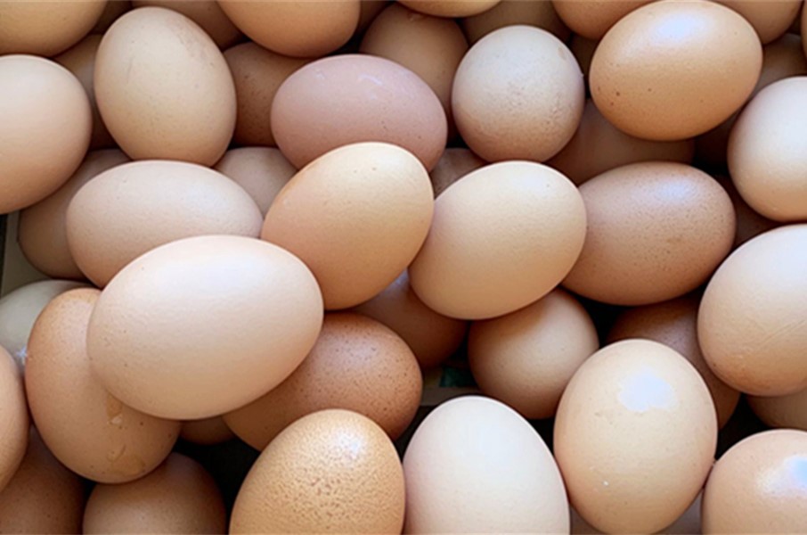 茶叶蛋只用八角和茶叶,煮茶叶蛋好吃又入味的方法