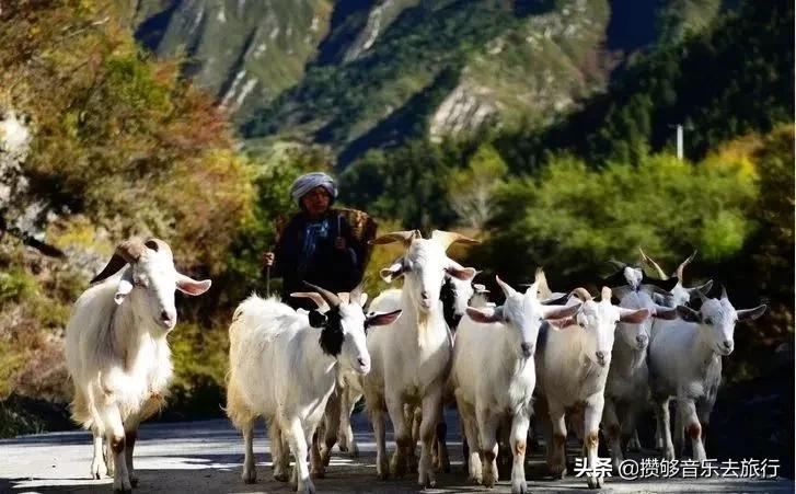 甘孜欢迎您,四川甘孜州欢迎您