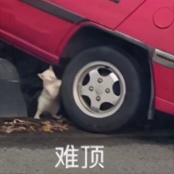 荒谬的不止HM，还有把棉花当风口的人