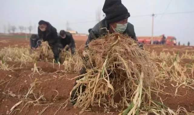 疫情面前,请看看他们......