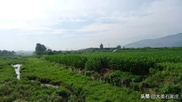 石家庄古迹遗址,石家庄的历史及名胜古迹简介