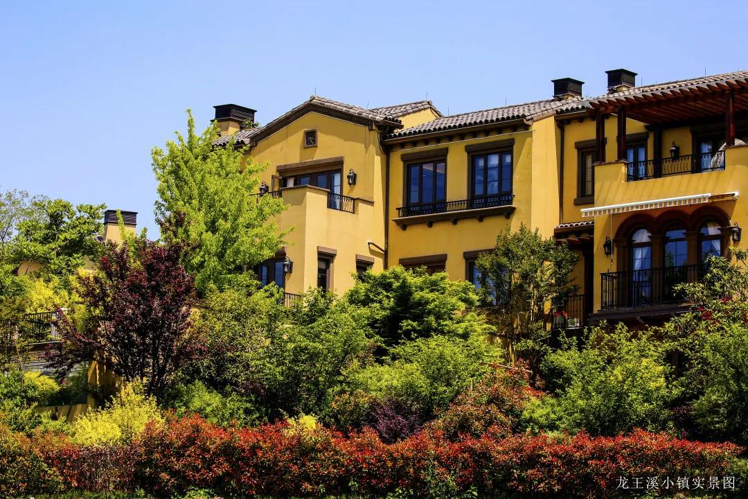 绿城龙王溪小镇房价多少钱,绿城龙王溪小镇二期价格