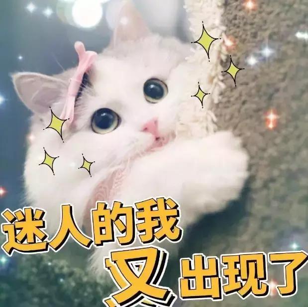 pola价格为什么相差那么大,pola真的好用吗