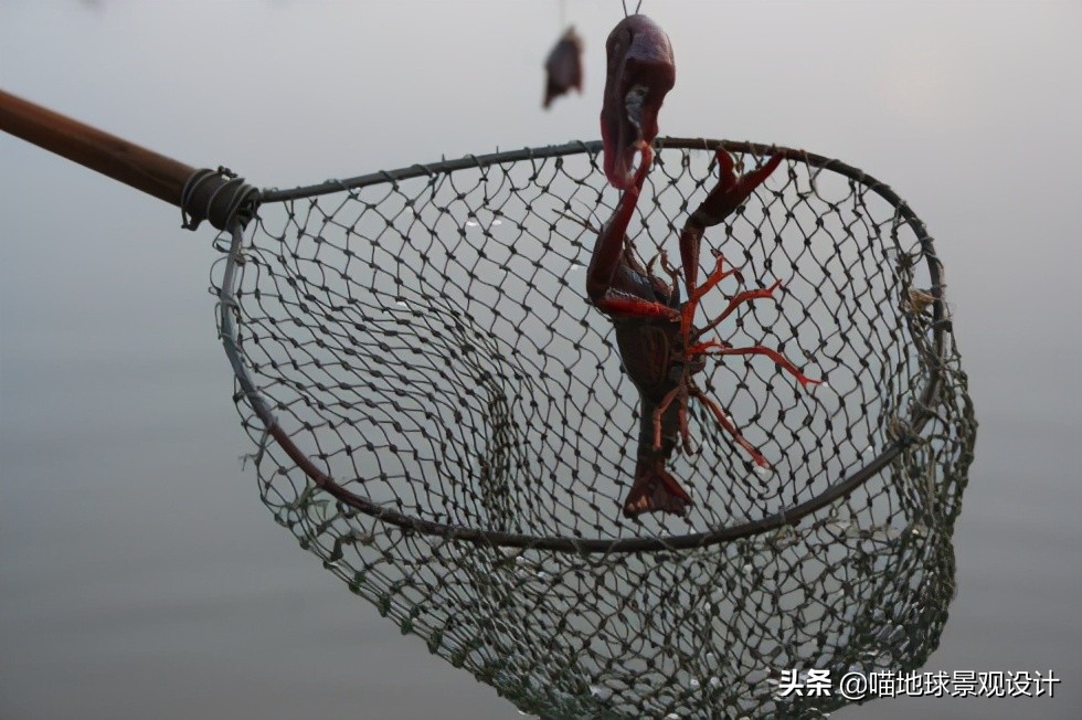 低成本美丽乡村造景,低成本打造乡村旅游