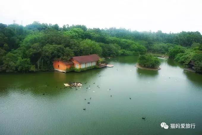 广州长隆野生动物园全程步行攻略,2天游玩广州长隆野生动物园攻略