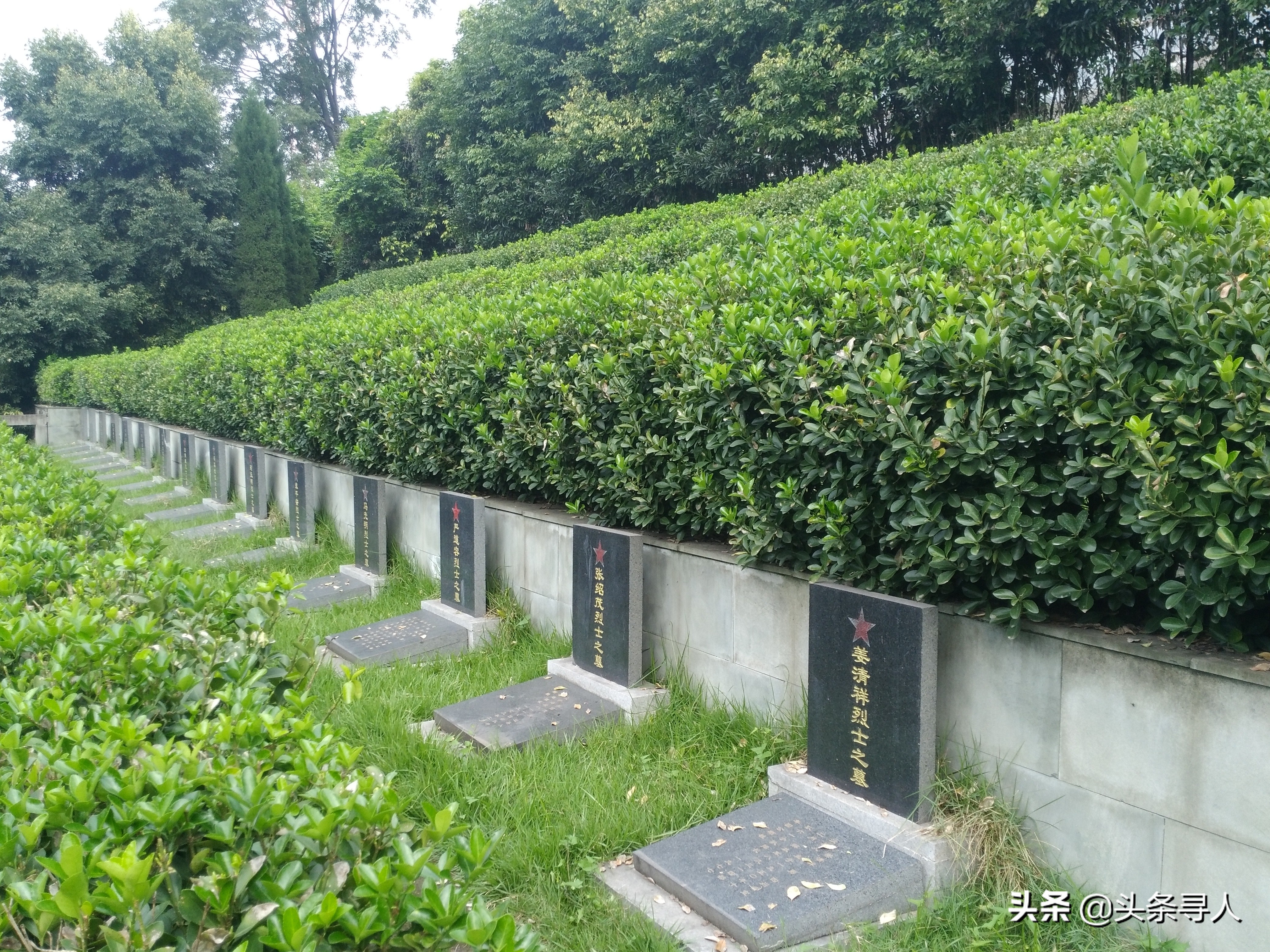 湖北麻城牺牲烈士,湖北黄冈籍革命烈士及感人事迹