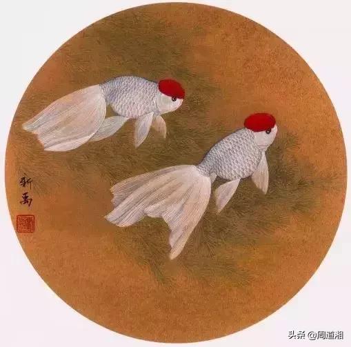 金鱼工笔画法图文教程你学会了吗,工笔画金鱼画法示范简单好学