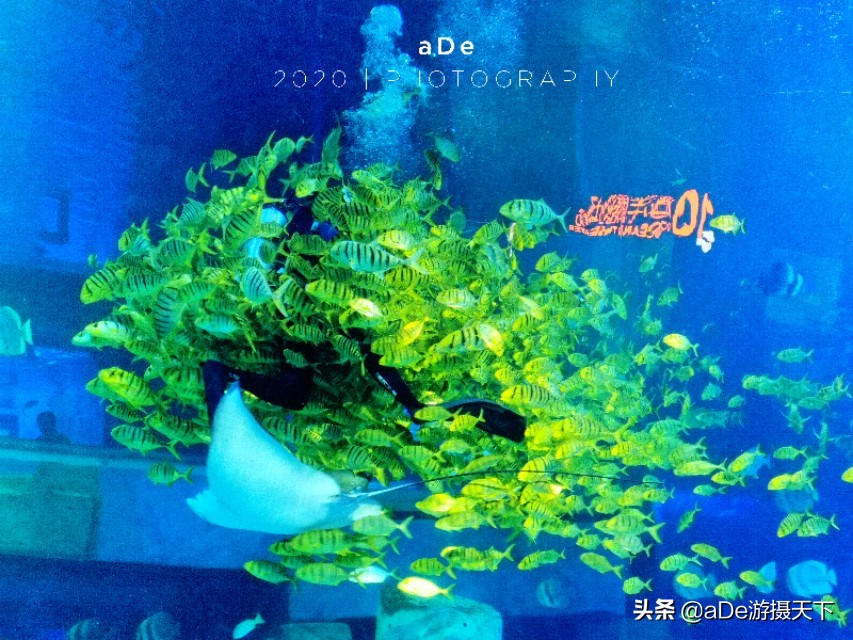 广州正佳广场哪个馆最值得玩,广州值得打卡的地方正佳广场