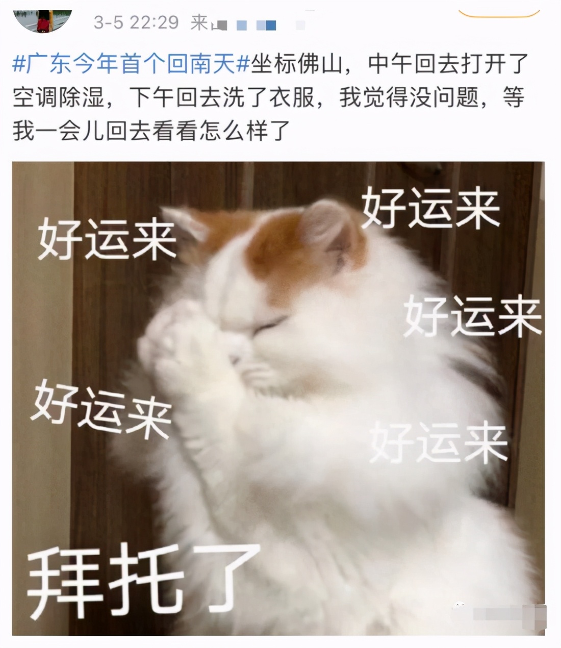 恩平未来一个月的天气,恩平天气走向怎样了今天