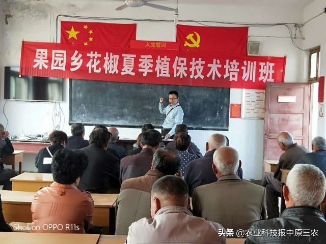 如何防治花椒树上的蚜虫,如何治花椒树上的蚜虫