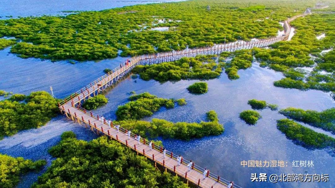 在北海惬意的生活,在北海的一天