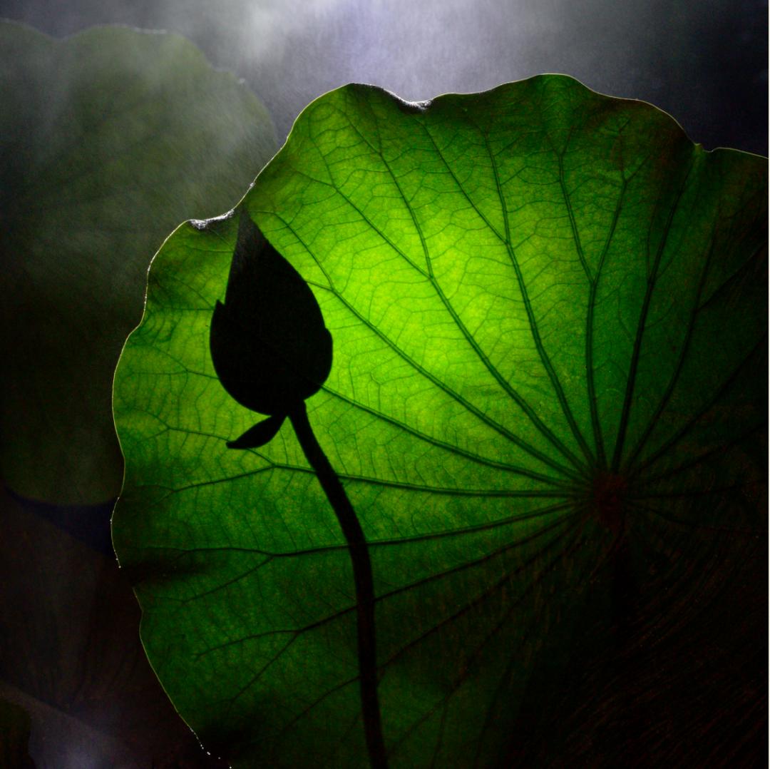 香港第14届全国摄影艺术展,第29届全国摄影艺术展览获奖名单