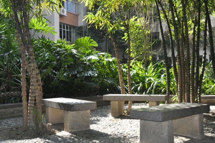 美在梅山-深圳市福田区梅山中学建校20周年志庆(2)