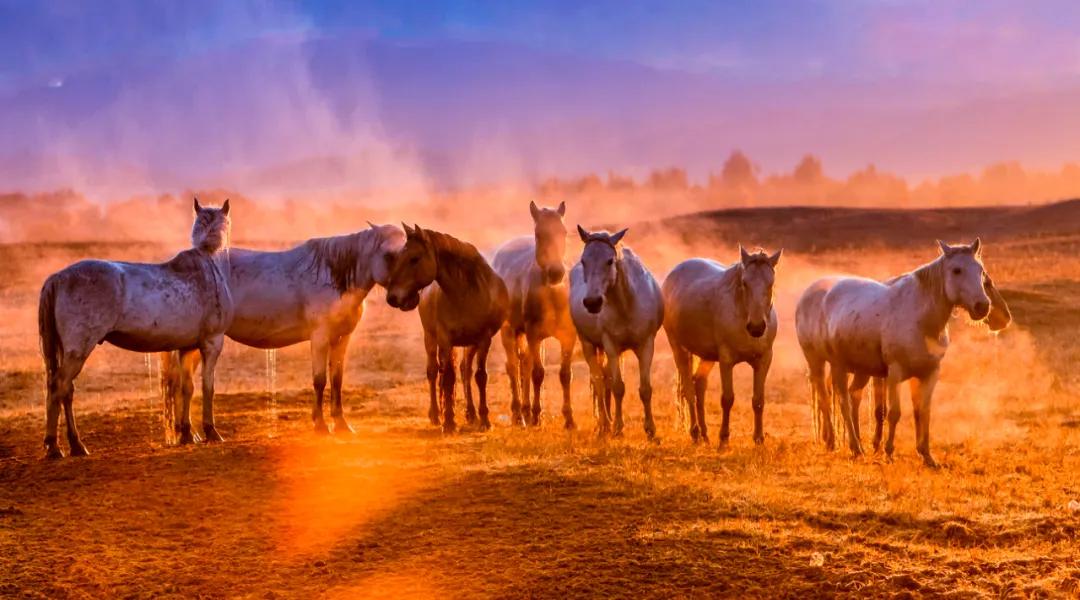 香港第14届全国摄影艺术展,第29届全国摄影艺术展览获奖名单