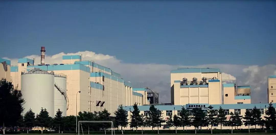 乐纯食品旗舰店,乐纯天猫旗舰店