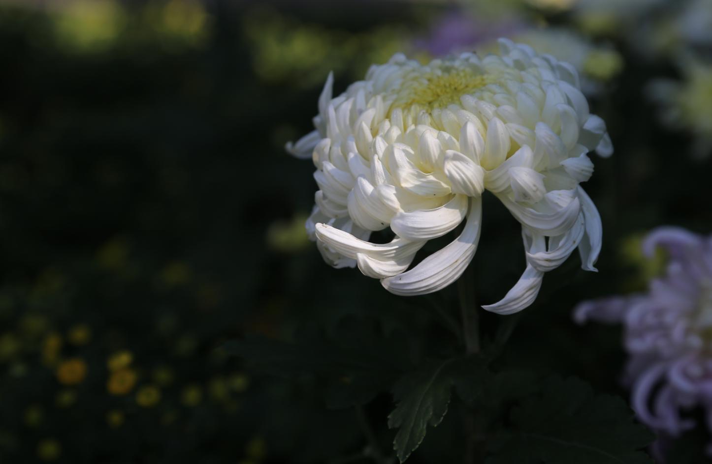 后期照片处理需要什么条件,后期如何把相片处理的清晰干净