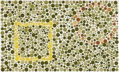 学了三年美术最后发现自己是色盲,美术色盲色弱怎么办