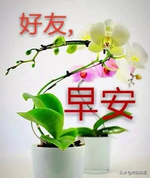 人生就像过河一样深浅都得过,人生就像过河下句怎么说