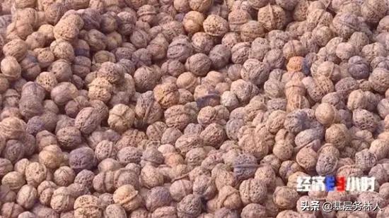 云南核桃批发价是多少钱一斤,云南的核桃价格多少一斤