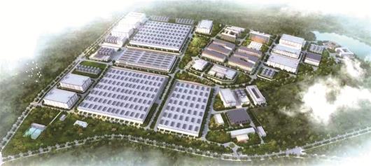 毛铺苦荞酒10年多少钱,毛铺苦荞酒500ml跟125ml有区别吗