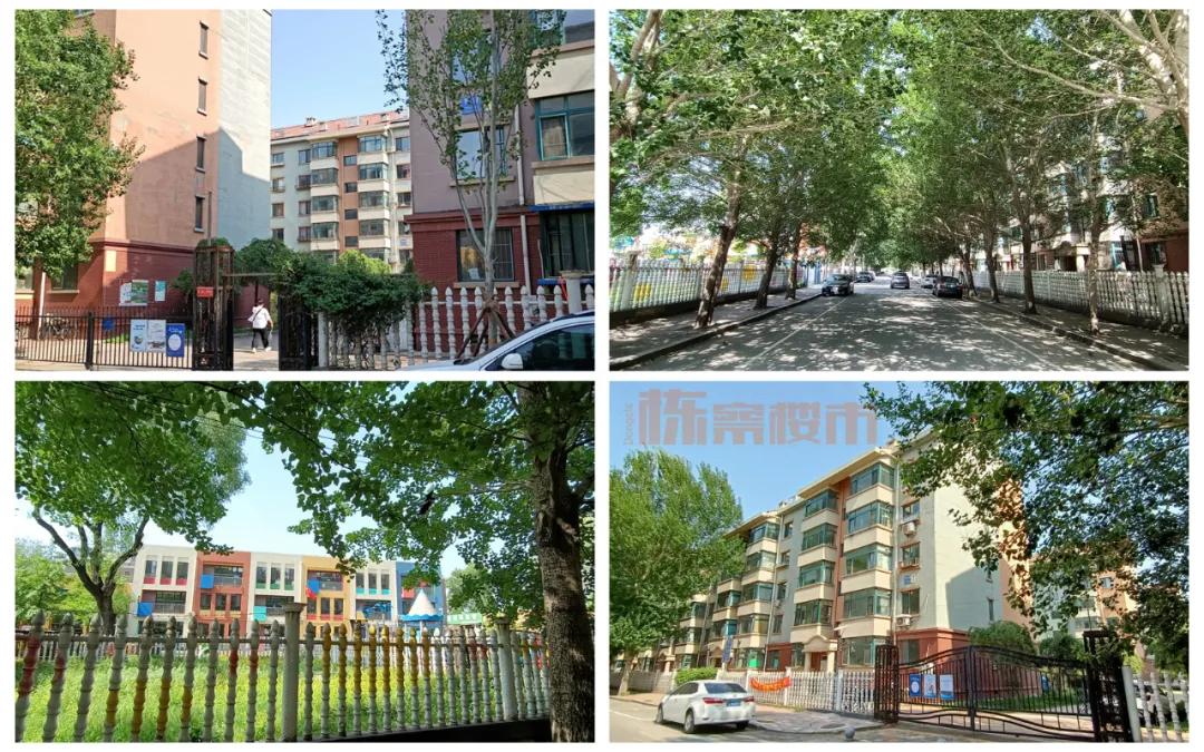 三台子房子值得买吗,三台子房价二手房