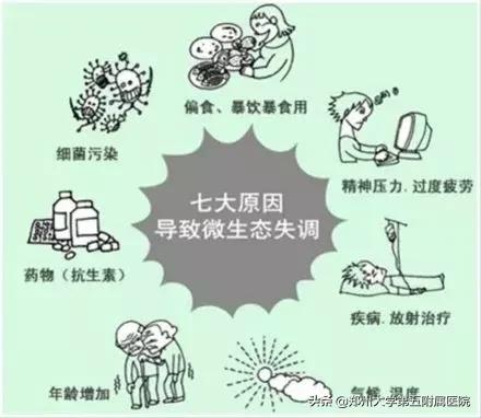 关于肠道微生态的故事,肠道微生态的重要性和调理方法