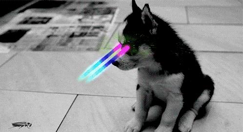 侄女问我：全世界人的头发数量乘起来为什么是0？我百思不得其解