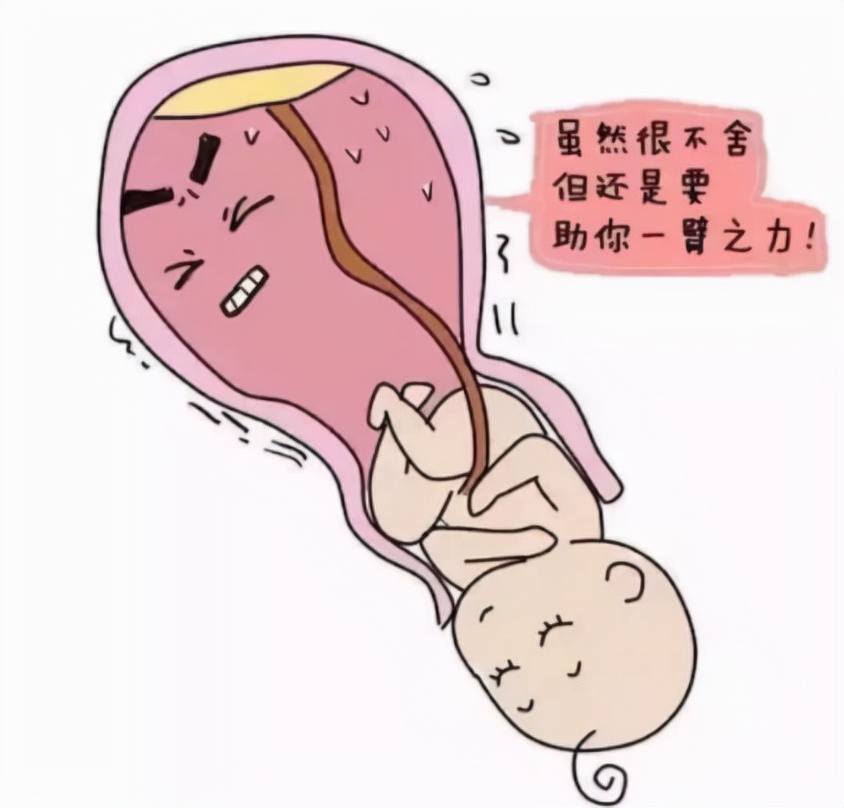 女人顺产后被老公嫌弃为什么,女人顺产后容易被老公嫌弃