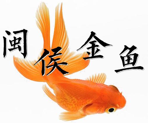 闽侯闽越古镇旅游攻略,世遗游玩