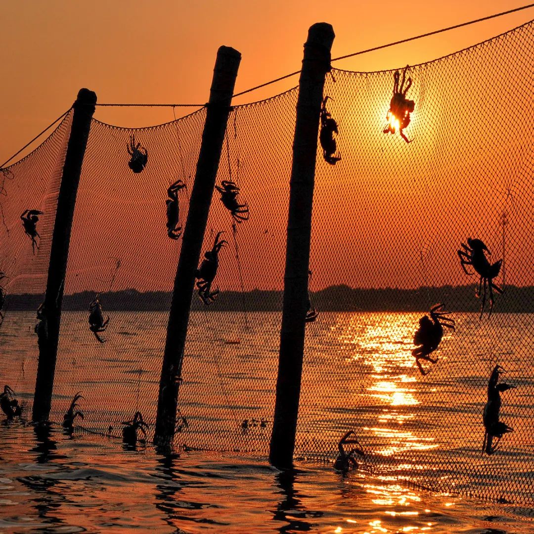 苏州精致生活,苏州人的精致都在一碗面里