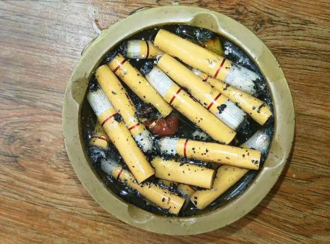 盆下有很多小虫子怎么办,盆里小飞虫用什么药