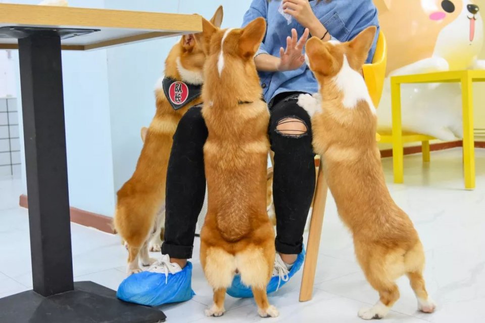 专门摸屁股的店，任摸