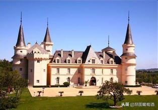 法国葡萄酒品牌前十名,世界顶级的十大红酒酒庄